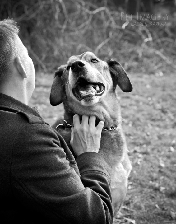 mixed breed dog philadelphia lauren kaplan pet imagery black and white